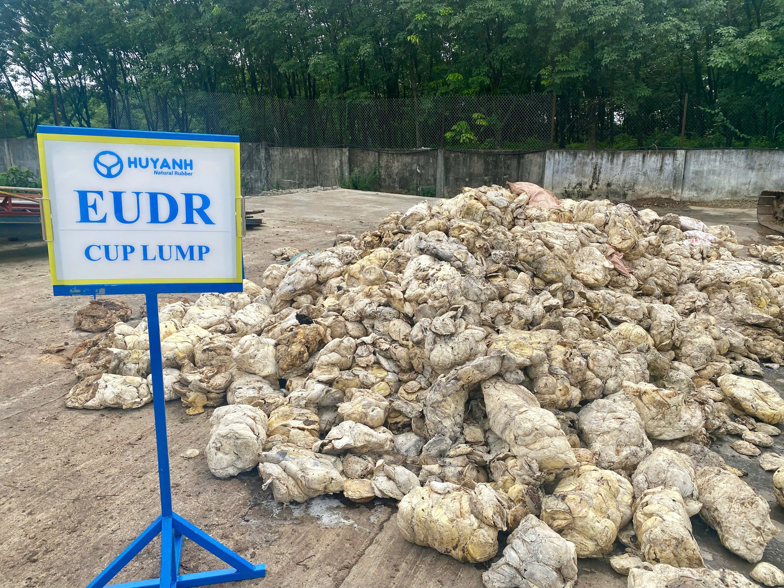 EUDR Cup Lump - Huy Anh Rubber