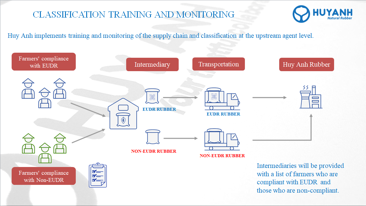 Huy Anh Rubber training and monitoring